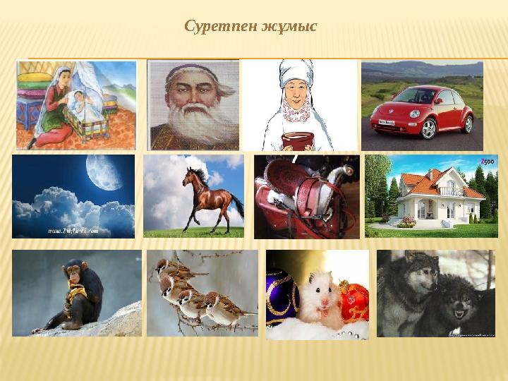 Суретпен жұмыс