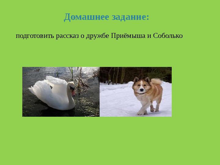 Домашнее задание: подготовить рассказ о дружбе Приёмыша и Соболько