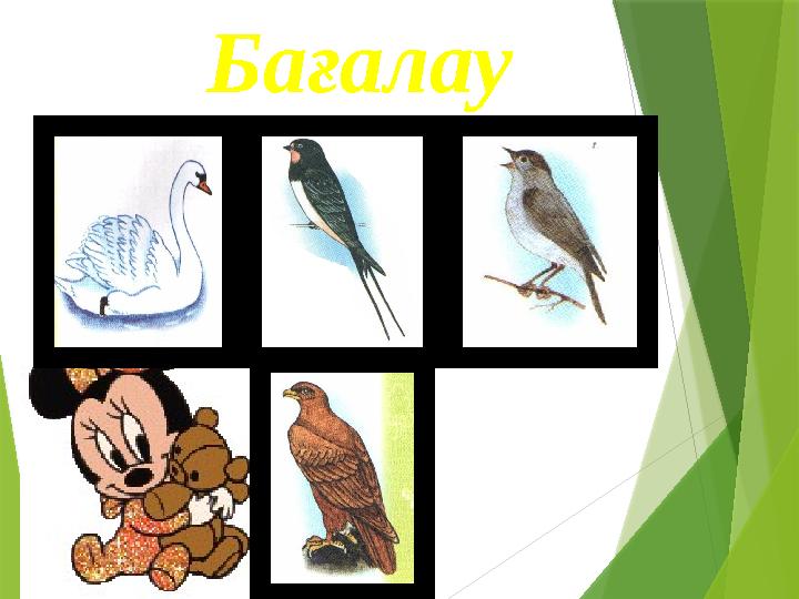 Бағалау