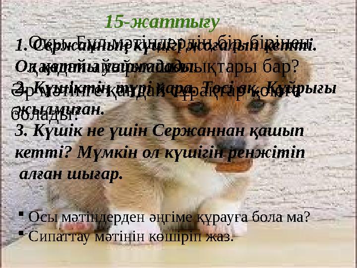 1. Сержанның күшігі жоғалып кетті. Ол қатты уайымдады. 2. Күшіктің түрі қара. Төсі ақ. Құйрығы жылмиған. 3. К