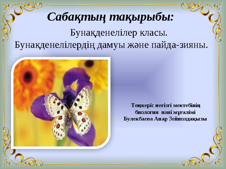 Буденновскінің жезөкшелері Буденновскінің жезөкшелері