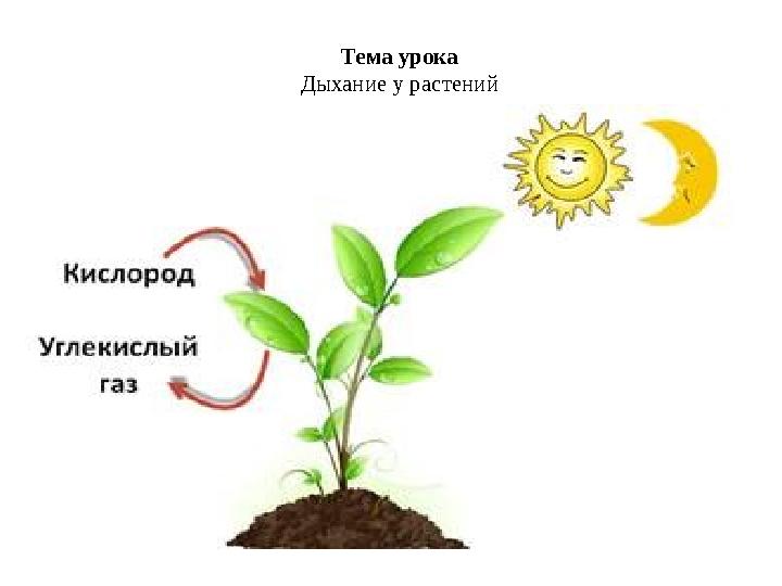 img_page_1