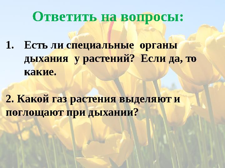 Ответить на вопросы: 1.Есть ли специальные органы дыхания у растений? Если да, то какие. 2. Какой газ растения выделяют и
