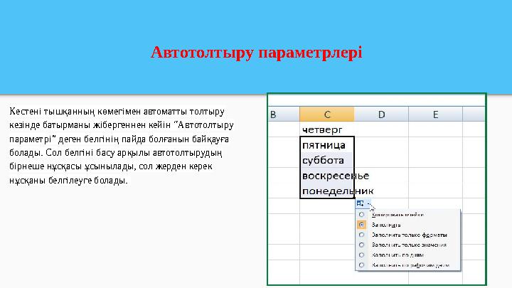 Автотолтыру параметрлері Кестені тышқанның көмегімен автоматты толтыру кезінде батырманы жібергеннен кейін “Автотолтыру параме