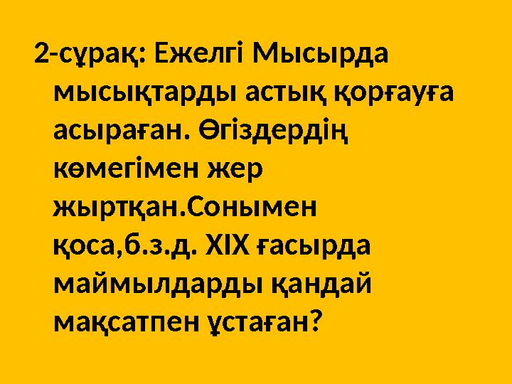 2-сұрақ: Ежелгі Мысырда мысықтарды астық қорғауға асыраған. Өгіздердің көмегімен жер жыртқан.Сонымен қоса,б.з.д. ХІХ ғасырд