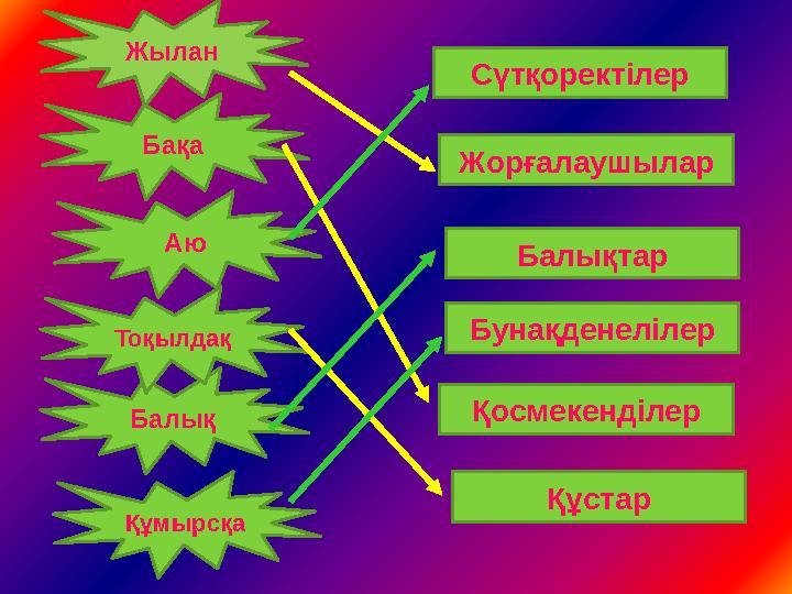 ҚосмекенділерБалық Сүтқоректілер Жорғалаушылар Балықтар Бунақденелілер Құстар Жылан Бақа Аю Тоқылдақ Құмырсқа