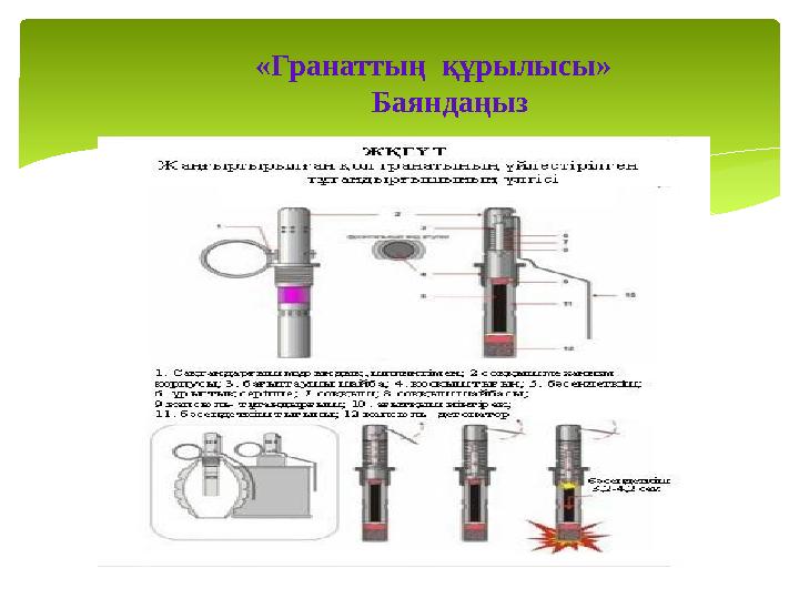 «Гранаттың құрылысы» Баяндаңыз