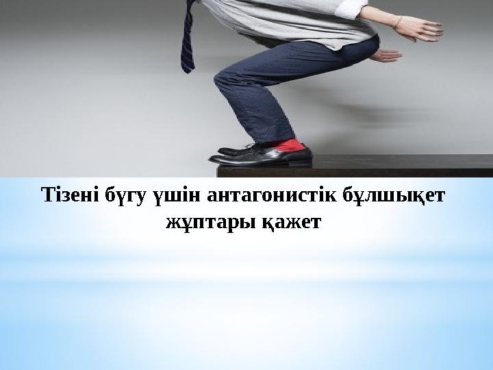 Тізені бүгу үшін антагонистік бұлшықет жұптары қажет