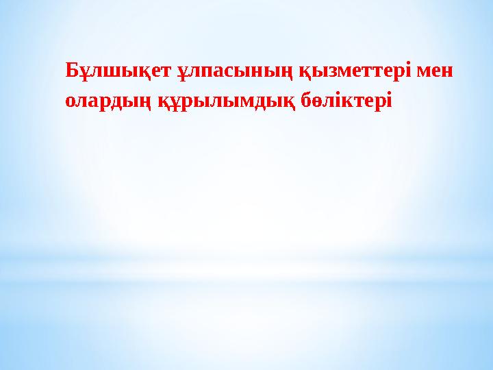 Көшеде шұлық киген әйелдердің порно фотолары