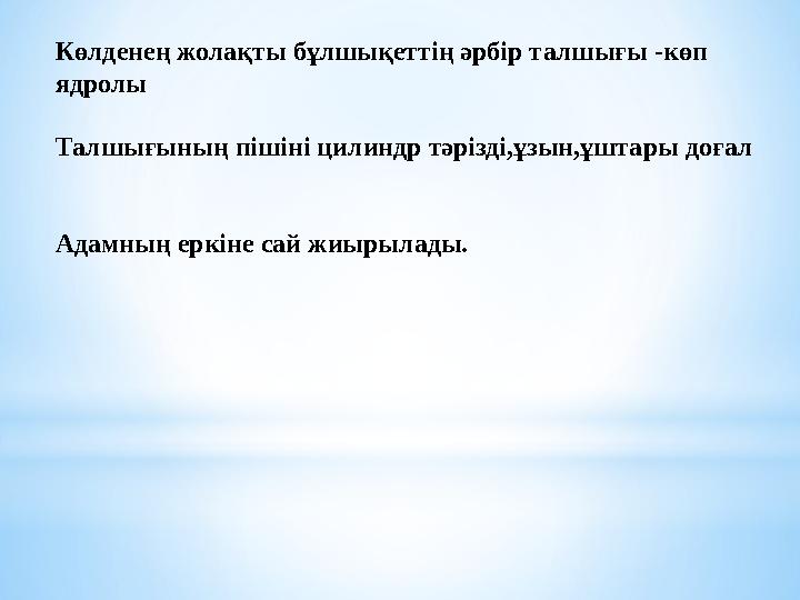 Көлденең жолақты бұлшықеттің әрбір талшығы -көп ядролы Талшығының пішіні цилиндр тәрізді,ұзын,ұштары доғал Адамның еркіне сай ж