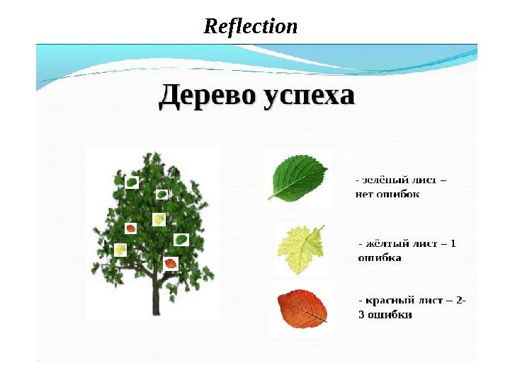 Reflection
