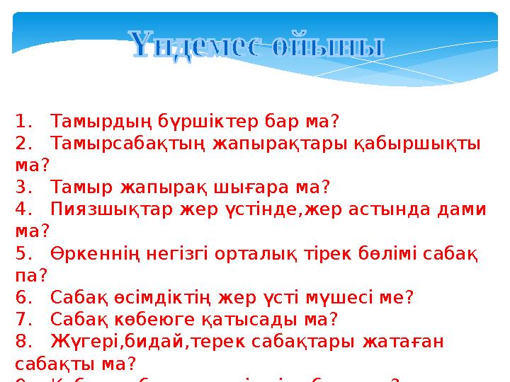 1. Тамырдың бүршіктер бар ма? 2. Тамырсабақтың жапырақтары қабыршықты ма? 3. Тамыр жапырақ шығара ма? 4. Пиязшықта