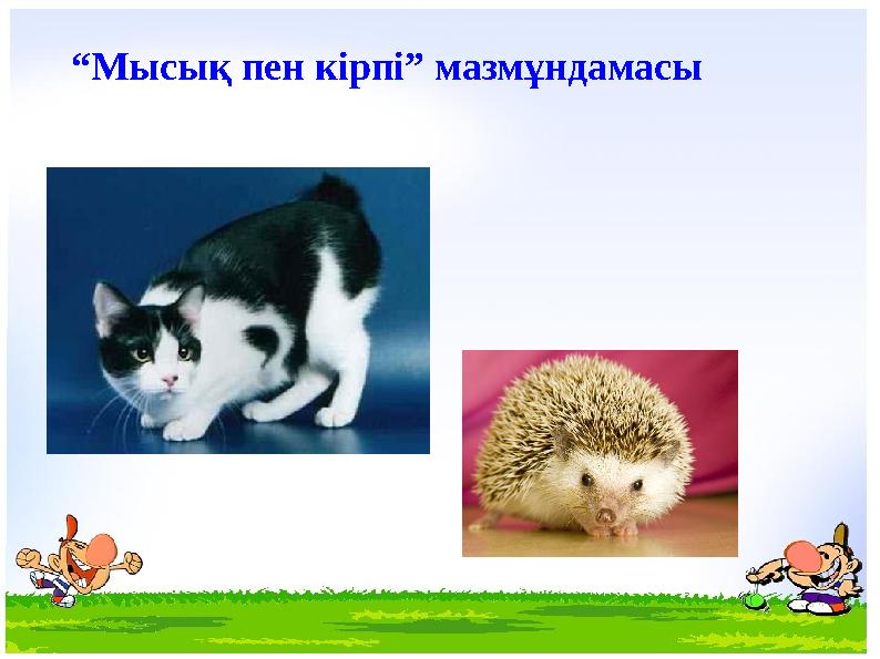 “Мысық пен кірпі” мазмұндамасы