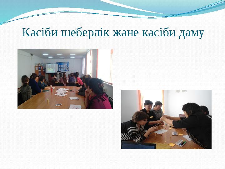 Кәсіби шеберлік және кәсіби даму