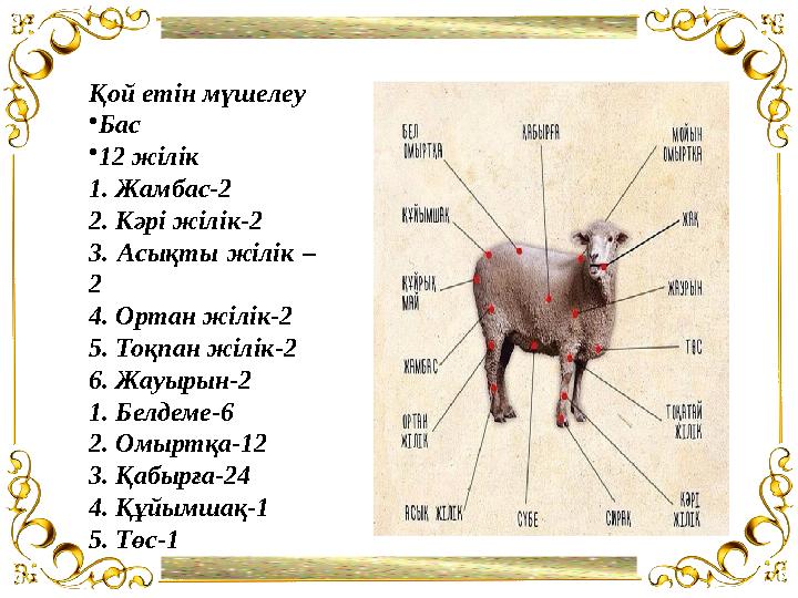 Қосымша руб ликалар “Ақпараттық ресур стар”Қой етін мүшелеу • Бас • 12 жілік 1. Жамбас-2 2. Кәрі жілік-2 3. Асықты жілік –