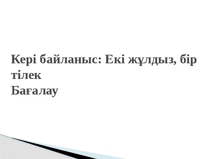 Кері байланыс: Екі жұлдыз, бір тілек Бағалау
