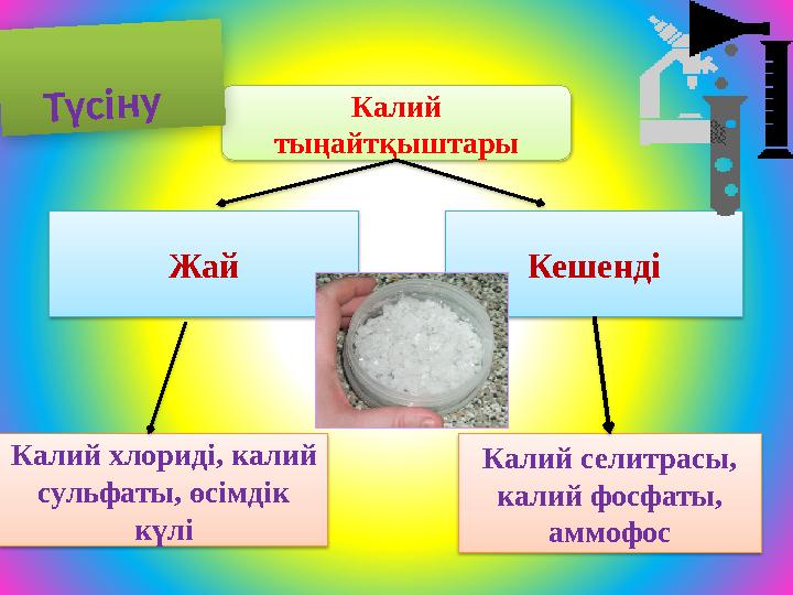 Калий тыңайтқыштары Жай Кешенді Калий хлориді, калий сульфаты, өсімдік күлі Калий селитрасы, калий фосфаты, аммофос