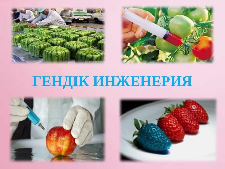 Өзін-өзі соратын порно секс
