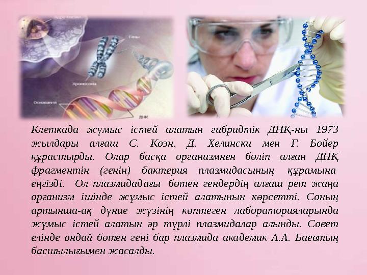 Клеткада жүмыс істей алатын гибридтік ДНҚ-ны 1973 жылдары алғаш С. Коэн, Д. Хелински мен Г. Бойер құрастырды. Олар басқа орган