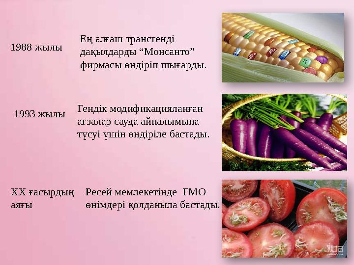 1988 жылы 1993 жылы ХХ ғасырдың аяғы Ең алғаш трансгенді дақылдарды “Монсанто” фирмасы өндіріп шығарды. Гендік модификациялан