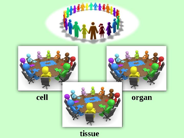 cell tissue organ