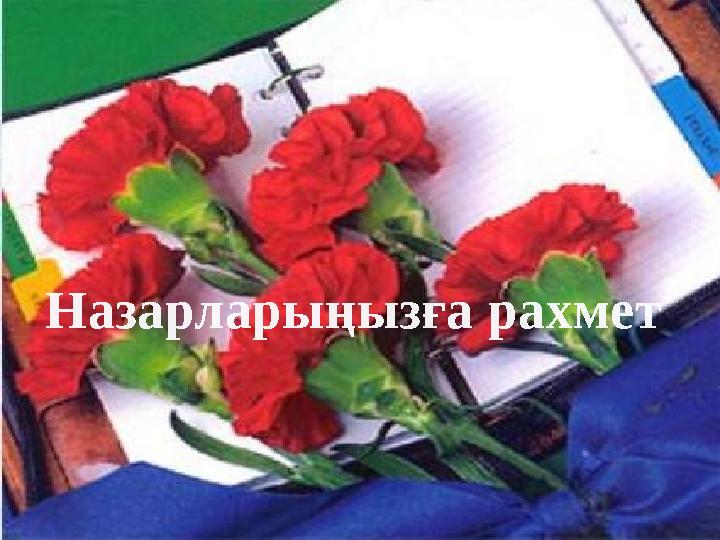 Назарларыңызға рахмет!