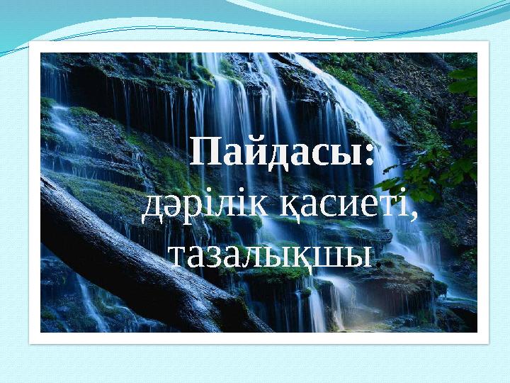 Пайдасы: дәрілік қасиеті, тазалықшы.