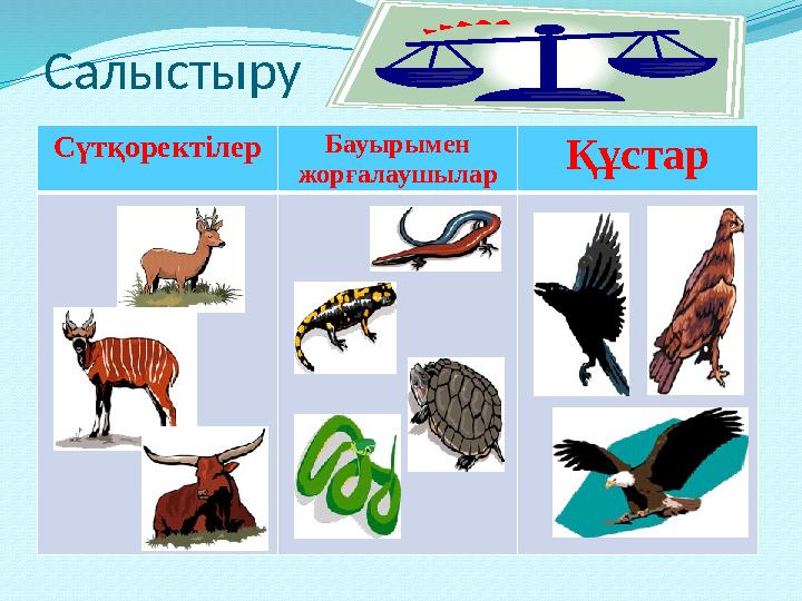 Сүтқоректілер Бауырымен жорғалаушылар Құстар Салыстыру