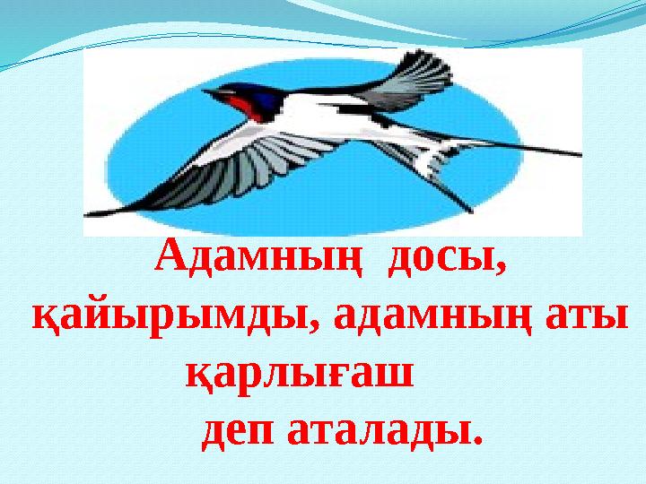 Адамның досы, қайырымды, адамның аты қарлығаш деп аталады.