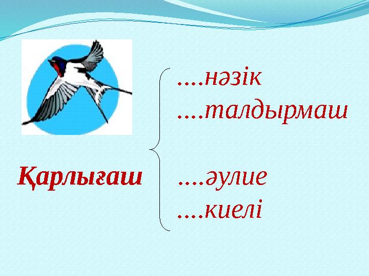 ....нәзік ....талдырмаш Қарлығаш ....әулие