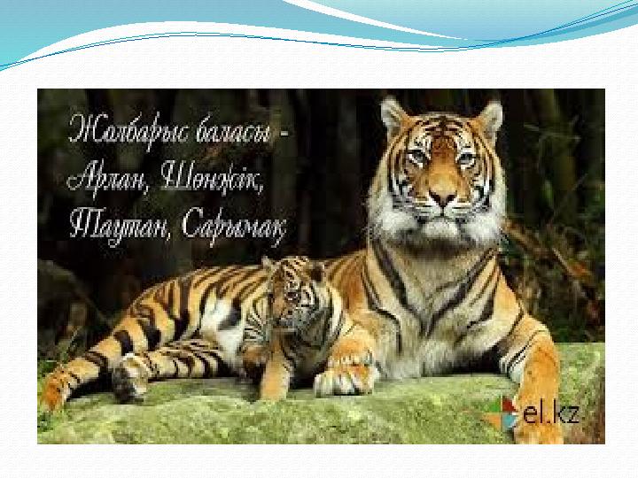 Қыз барлық киімдерін шешіп, суға кетті