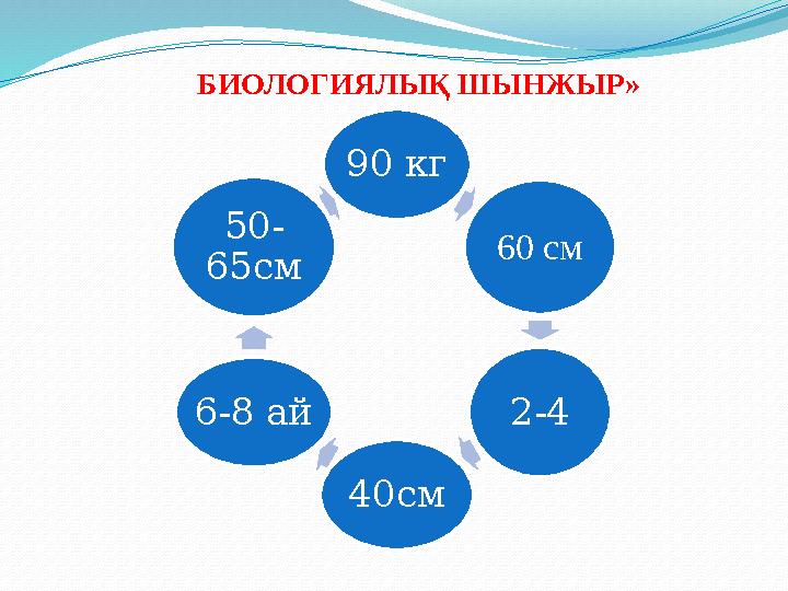 Орыс hd онлайн секс BBW бөксе фотосуреттері