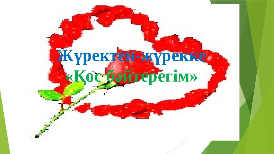 Жүректен-жүрекке «Қос бәйтерегім»