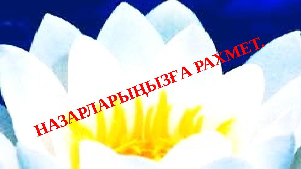 НАЗАРЛАРЫ ҢЫ ЗҒА РАХМ ЕТ.