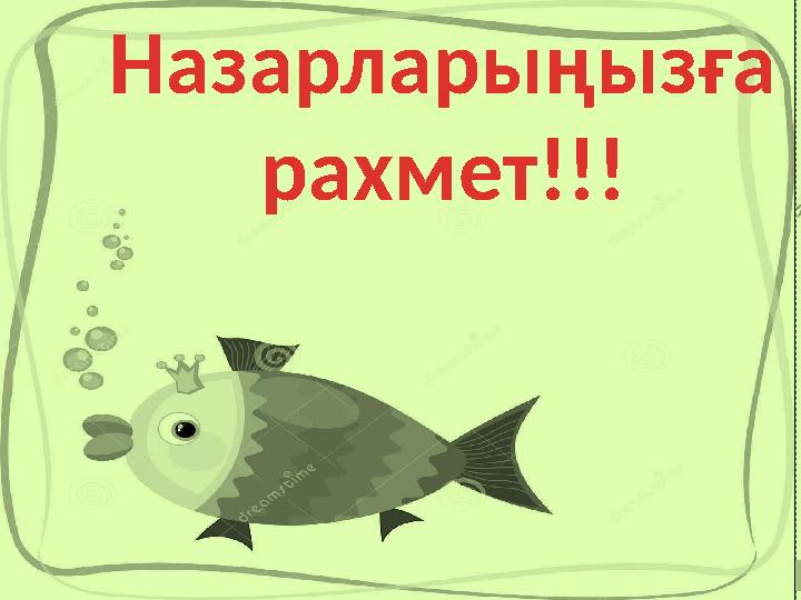 Назарларыңызға рахмет!!! Назарларыңызға рахмет!!!