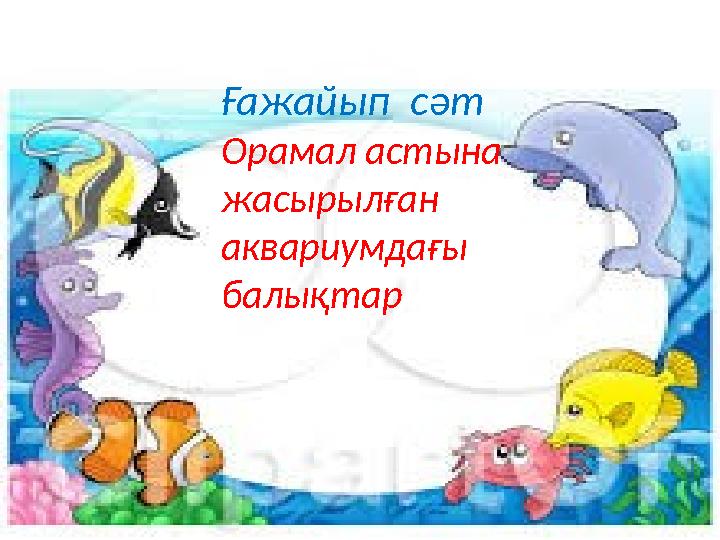 Ғажайып сәт Орамал астына жасырылған аквариумдағы балықтар Ғажайып сәт Орамал астына жасырылған аквариумдағы балықтар