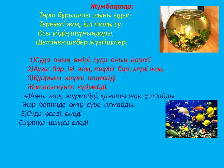 Жұмбақтар: Төрт бұрышты шыны ыдыс Терезесі жоқ, іші толы су. Жұмбақтар: Төрт бұрышты шыны ыдыс Терезесі жоқ, іші толы су.