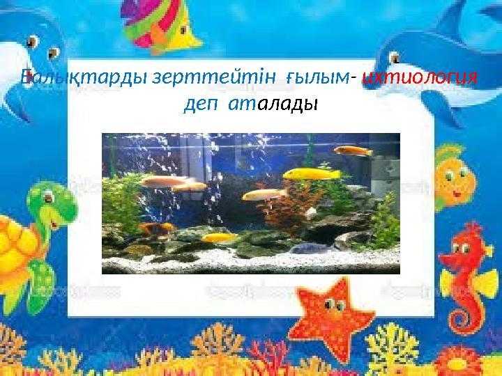 Балықтарды зерттейтін ғылым - ихтиология деп ат алады Балықтарды зерттейтін ғылым - ихтиология деп ат алады