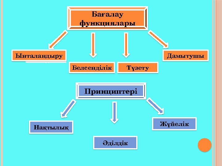 Бағалау функциялары ЫнЫталанд ыру Белсенділік Түзету Дамытушы Ынталандыру Принциптері Нақтылық Әділдік Жүйелі