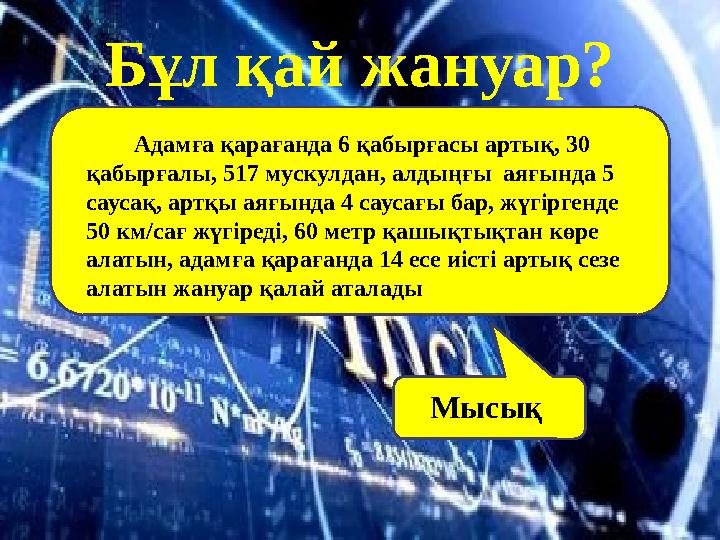 Адамға қарағанда 6 қабырғасы артық, 30 қабырғалы, 517 мускулдан, алдыңғы аяғында 5 саусақ, артқы аяғында 4 саусағы б