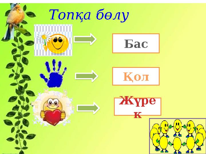 Топқа бөлу Бас Қол Жүре к