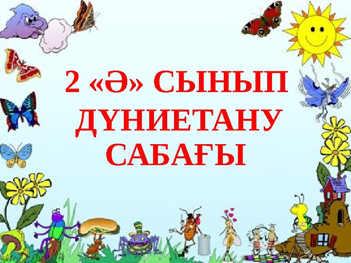 img_page_1