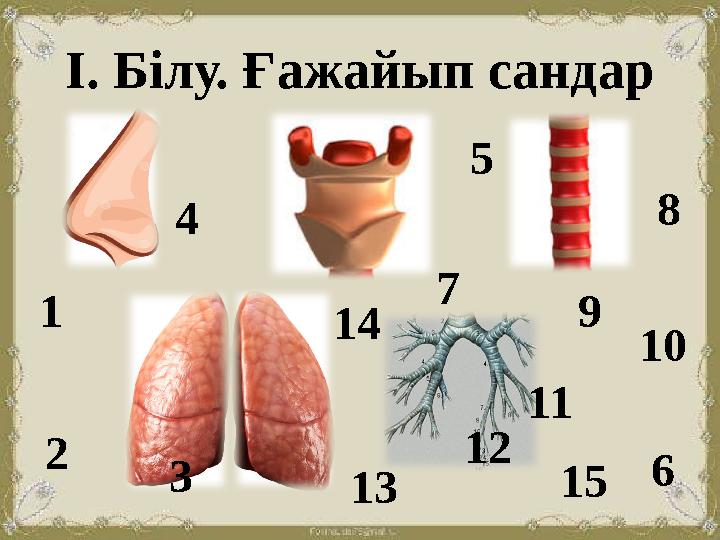 І. Білу. Ғажайып сандар 1 2 3 4 5 9 612 10 8 11 13 7 14 15