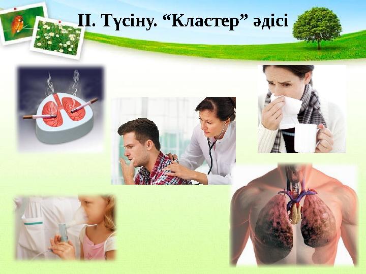 ІІ. Түсіну. “Кластер” әдісі