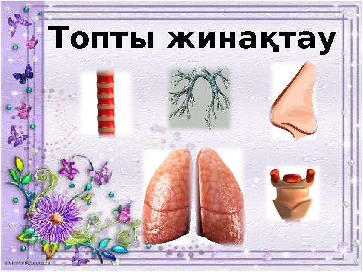 Топты жинақтау