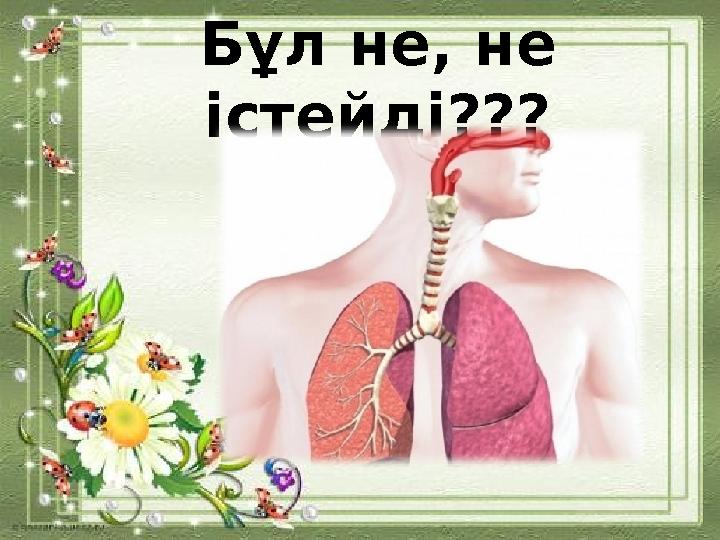 Бұл не, не істейді???