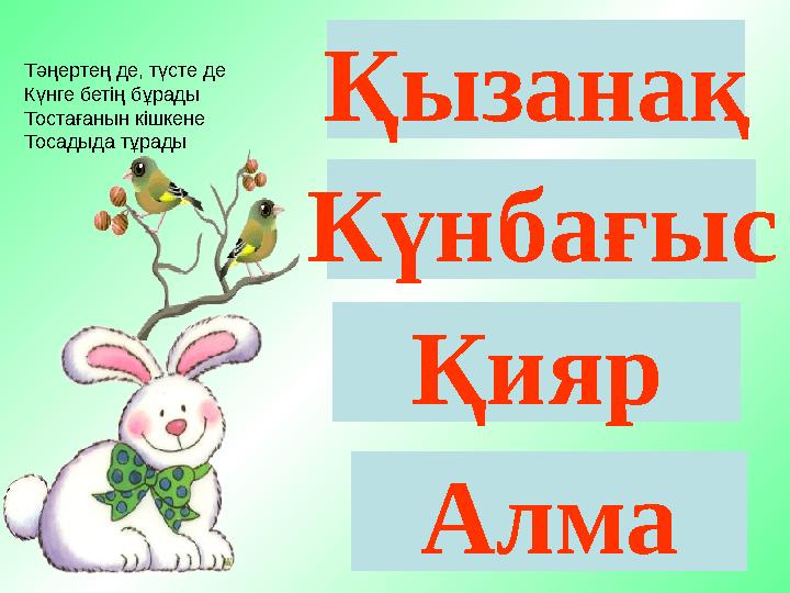 Қызанақ Күнбағыс Қияр Алма Тәңертең де, түсте де Күнге бетің бұрады Тостағанын кішкене Тосадыда тұрады