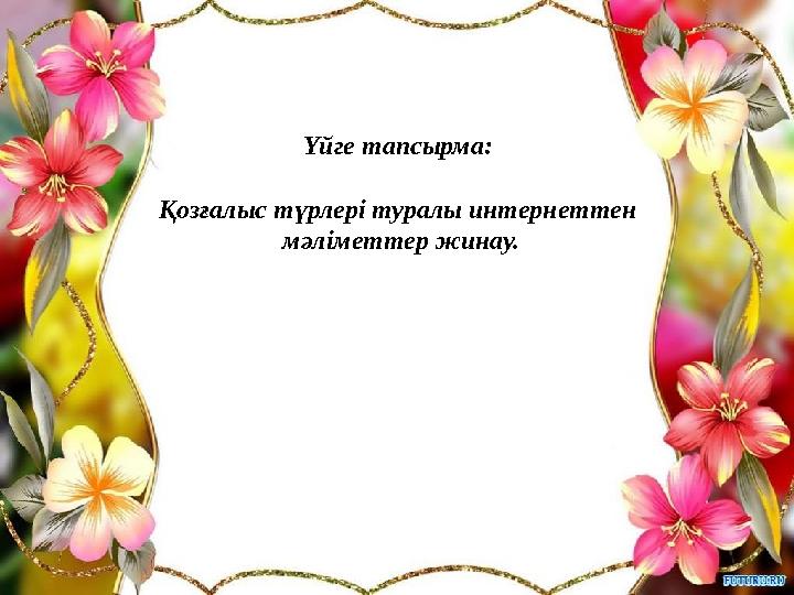 Үйге тапсырма: Қозғалыс түрлері туралы интернеттен мәліметтер жинау.