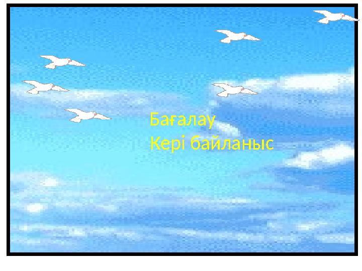 Бағалау Кері байланыс