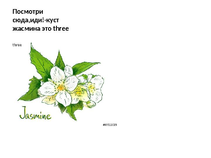 Посмотри сюда,иди!-куст жасмина это three three